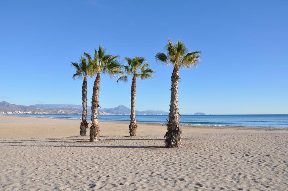 Playa De San Juan Apartment Benimagrell Exteriör bild